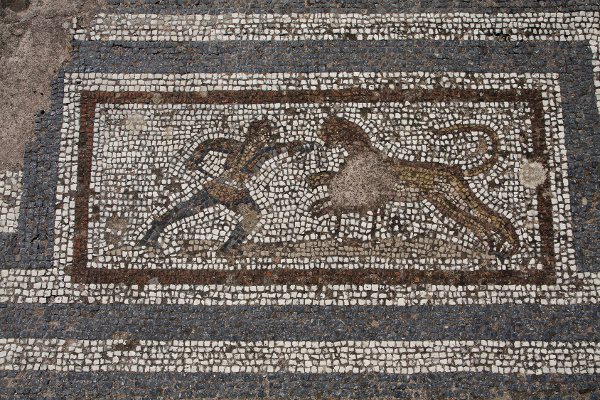 Mosaik mit Jäger und Eber in den Westlichen Ausgrabungen